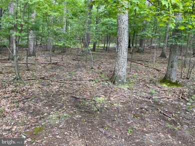 950 Oak Forest Ln, Berkeley Springs, WV 25411 - photo 3