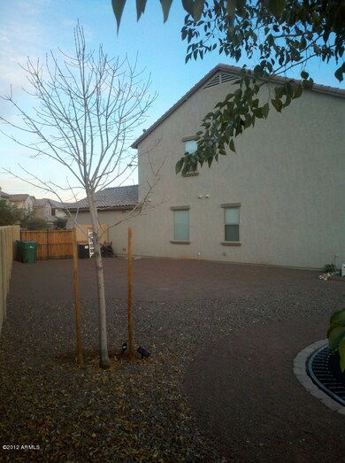 Backyard 3