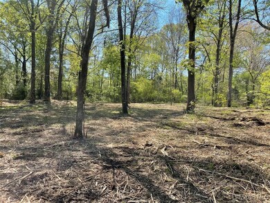 115 Cahaba View Dr, Selma, AL 36702 - photo 2