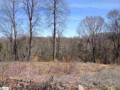 1440 Blackbird Dr, Clover, SC 29710 - photo 3