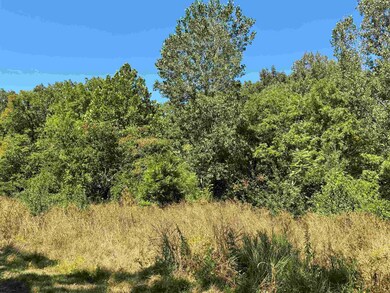 200 Hardin Rd, Savannah, TN 38372 - photo 4