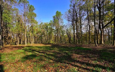 Additional View