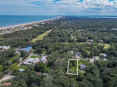 0 Lewis Street Lot 9 unit 114316, Fernandina Beach, FL 32034 - photo 4