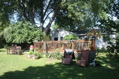 backyard2