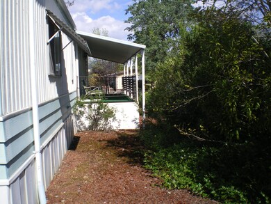 IMGP0005.JPG