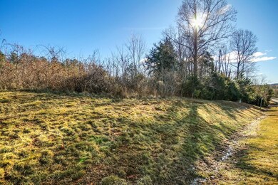 003 Sunset Bay Rd, Gretna, VA 24557 - photo 2