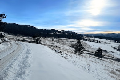 3341 Daisy Mine Rd, Rice, WA 99167 - photo 3