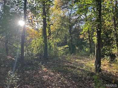 410 Oak Dr, Gray Summit, MO 63039 - photo 3