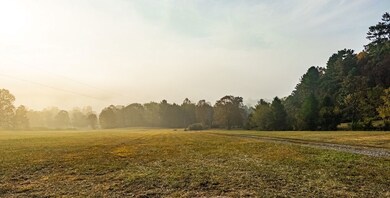 0 Big Draft Rd unit 25758620, White Sulphur Springs, WV 24986 - photo 5