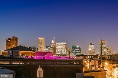 1263 William St, Baltimore, MD 21230 - photo 3