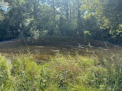 6685 Cedar Trace, Canadian Lakes, MI 49346 - photo 3