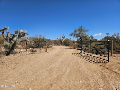 2624 S Gold Mine Rd, Yucca, AZ 86438 - photo 3