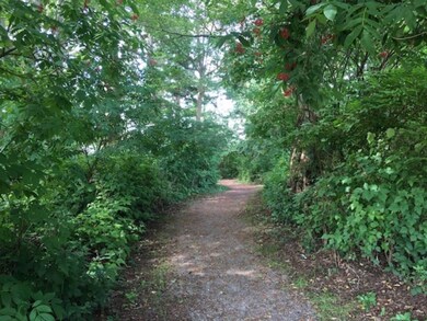 Lot 17 Mckenzie Way, Point Roberts, WA 98281 - photo 3