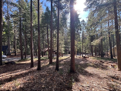 646 Dean Way, Arnold, CA 95223 - photo 6