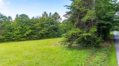 0 Fort Mitchell Rd unit 57679, Chase City, VA 23924 - photo 4