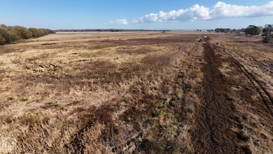 1262 Main St, Knobel, AR 72435 - photo 6