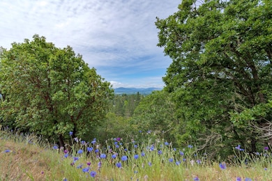 0 NW Starlite Place unit 220203894, Grants Pass, OR 97526 - photo 2