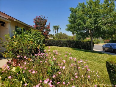 2924 Cimarron Rd, Riverside, CA 92506 - photo 3