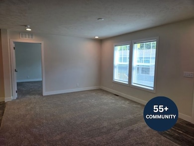 1133 Yeomans St unit 129, Ionia, MI 48846 - photo 5