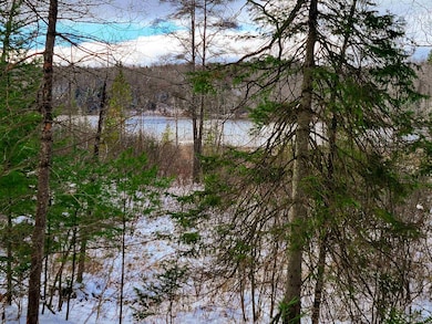 1165 W County Rd, Calais, VT 05648 - photo 5