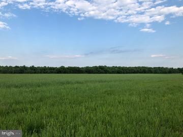 5174 Ritchie Rd, Bealeton, VA 22712 - photo 3