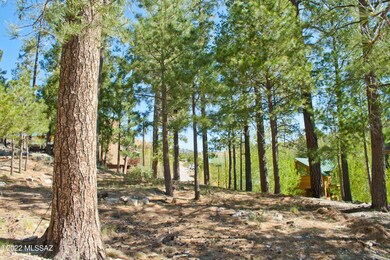 Gorgeous Pines