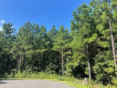 53 Weathered Timber Trail, Broken Bow, OK 74728 - photo 2