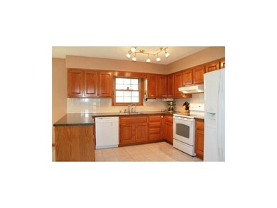 Large, Open & Updated Kitchen