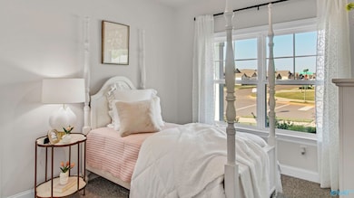 28232 Saddle Springs Dr NW, Madison, AL 35756 - photo 4