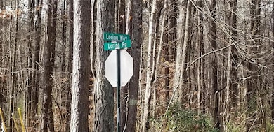 3966+8 Loring Way NW, Kennesaw, GA 30152 - photo 2