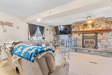 11589 Highway 5, Grovespring, MO 65662 - photo 6