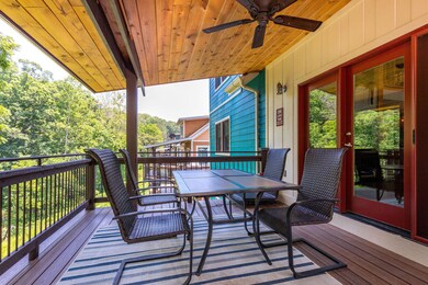 25588Shellknob-31