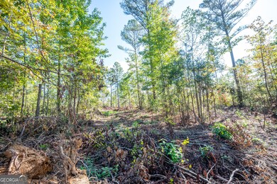 3785 Hwy 140 NE, Rydal, GA 30171 - photo 4