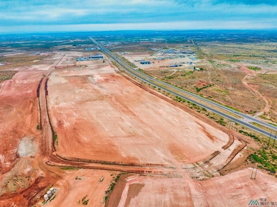 2036 Husky Rd, Carlsbad, NM 88220 - photo 6