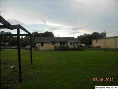 VERY LARGE FLAT BACK YARD WITH PARCIAL FENCE