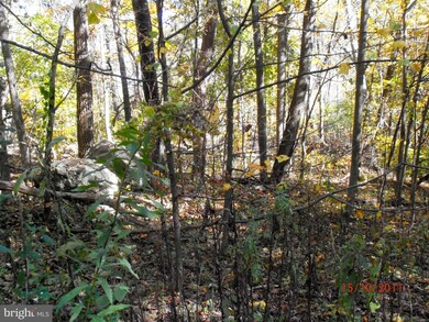 18 Axton Ln, Linden, VA 22642 - photo 4