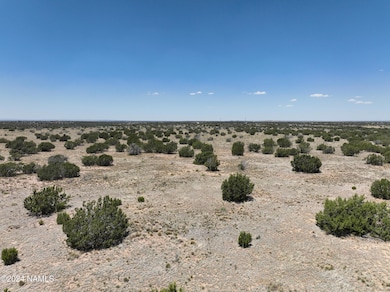 DJI_20240615122705_0046_V