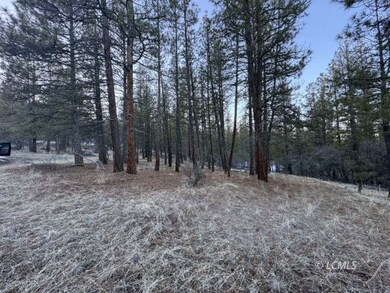 0 Bobcat Cir unit 3007431, Beatty, OR 97621 - photo 5