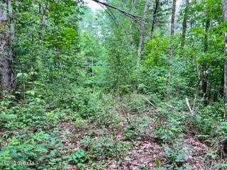 Lot 4, Pic 11