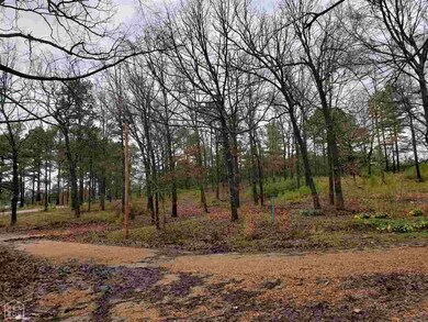 6902 Arkansas 351, Jonesboro, AR 72401 - photo 3