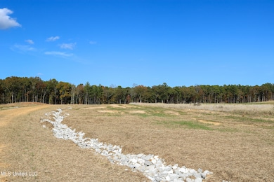 Tract 8 Hugh White State Park Road-2