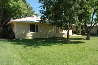 Large Irrigated Front Yard