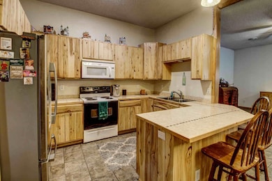 14505 County 6, Park Rapids, MN 56470 - photo 5