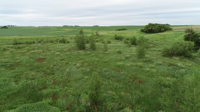 2438 Harrison Ave, Doon, IA 51235 - photo 7