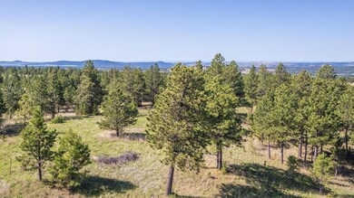 26771 Elk Run Rd, West Custer, SD 57747 - photo 6