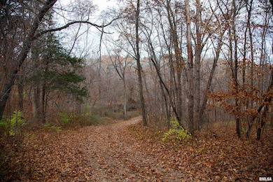 0000 W Smithville Rd, Trivoli, IL 61569 - photo 7