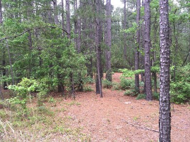 Interior woods