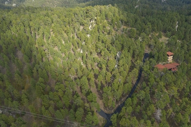 TBD Trackers Trail, Keystone, SD 57751 - photo 2