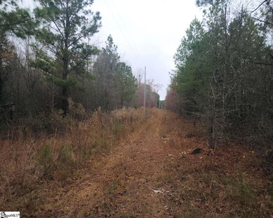 0 Scott Ln, Pelzer, SC 29669 - photo 3