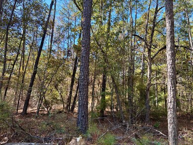 TBD Alabama 131, Bakerhill, AL 36027 - photo 6